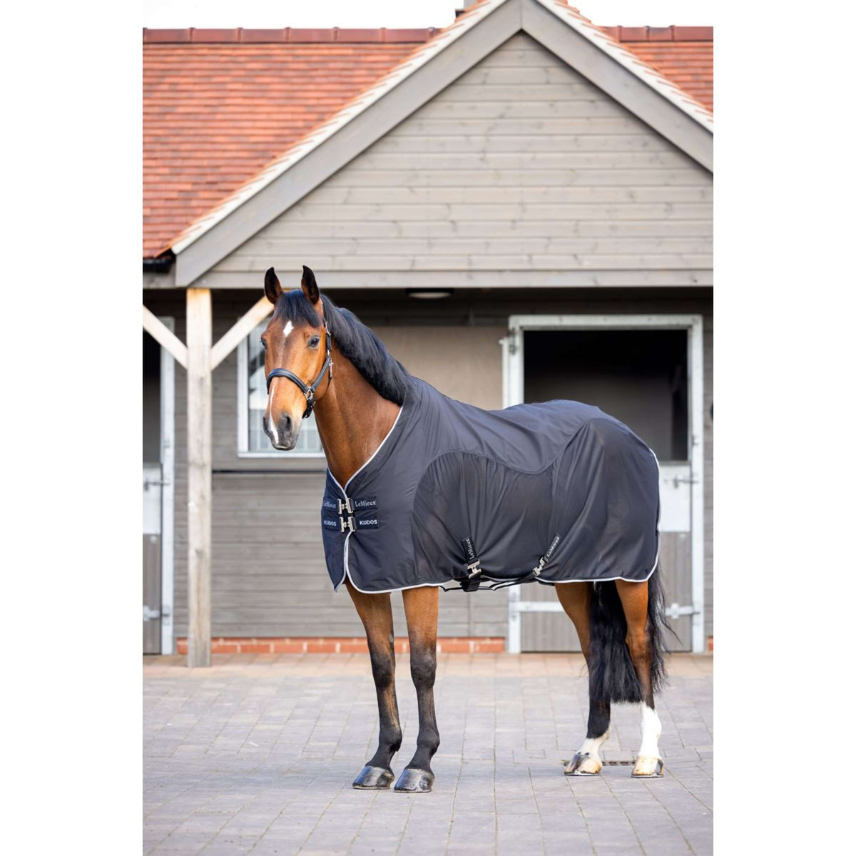LeMieux Cooler Kudos Hybrid Negro