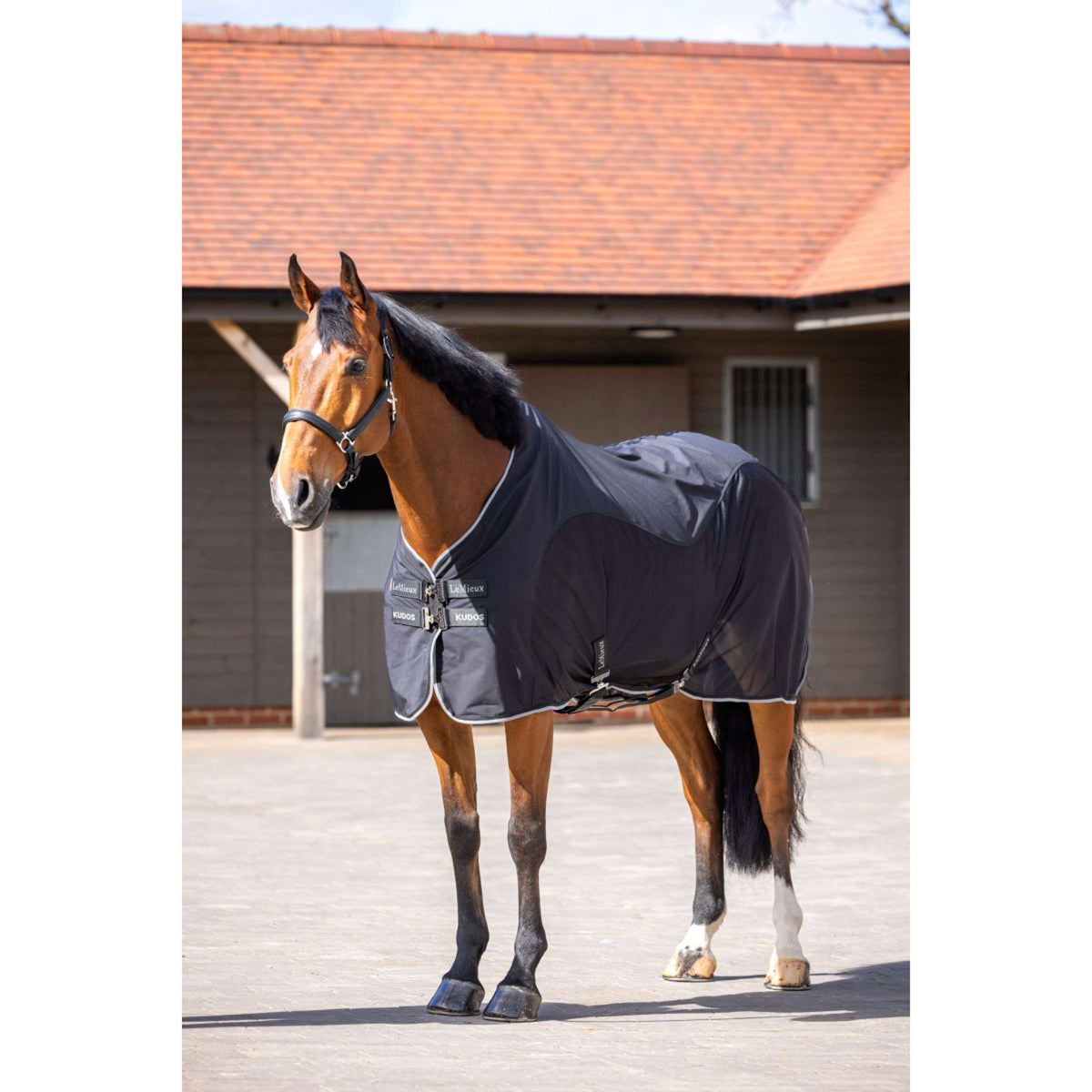 LeMieux Cooler Kudos Hybrid Negro