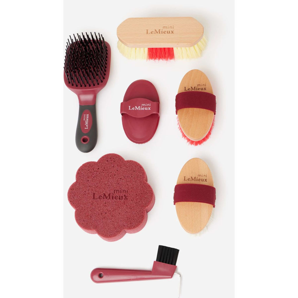 LeMieux Set de Limpieza Mini Rojo