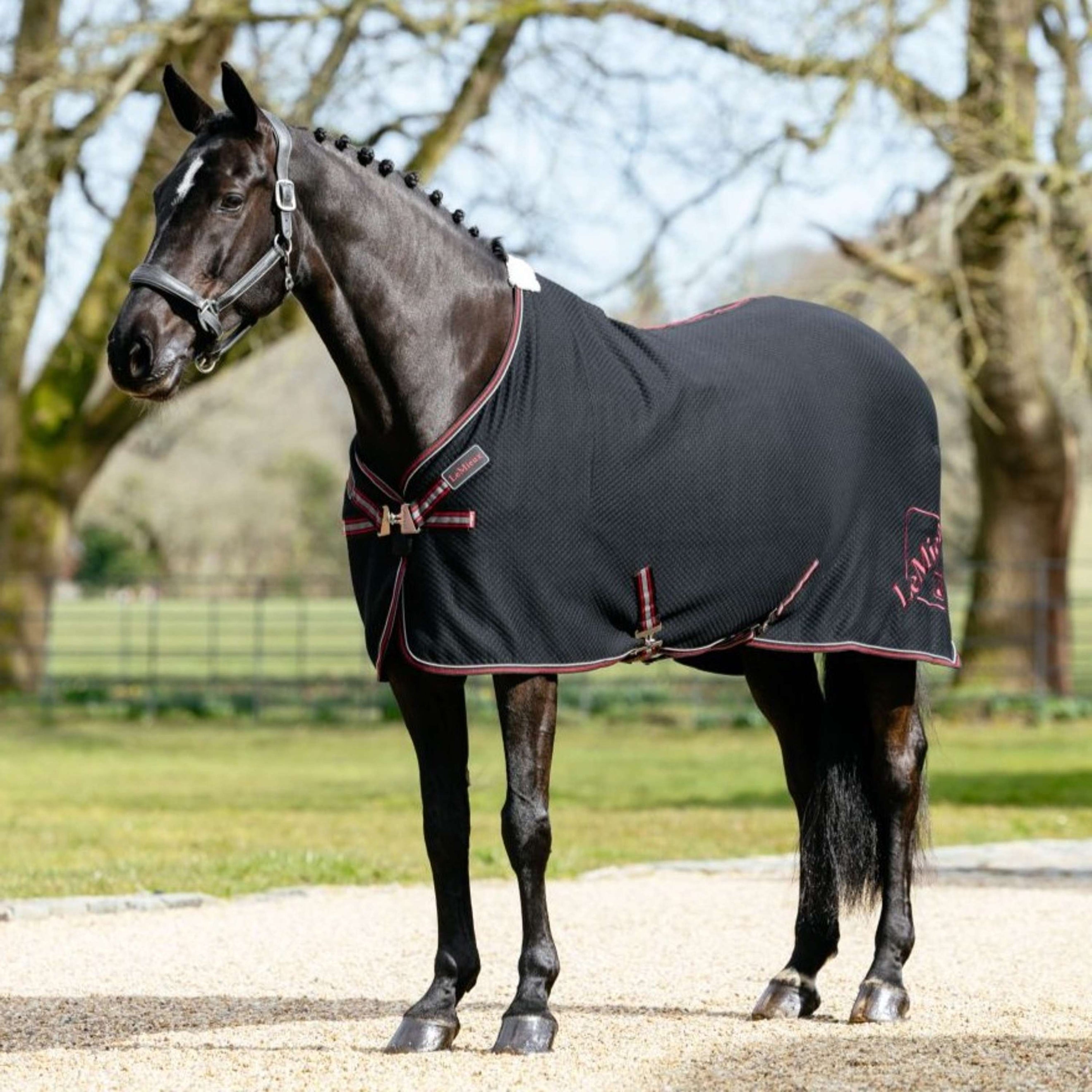 LeMieux Cooler Kudos Bamboo Negro LeMieux Cooler Kudos Bamboo Negro
