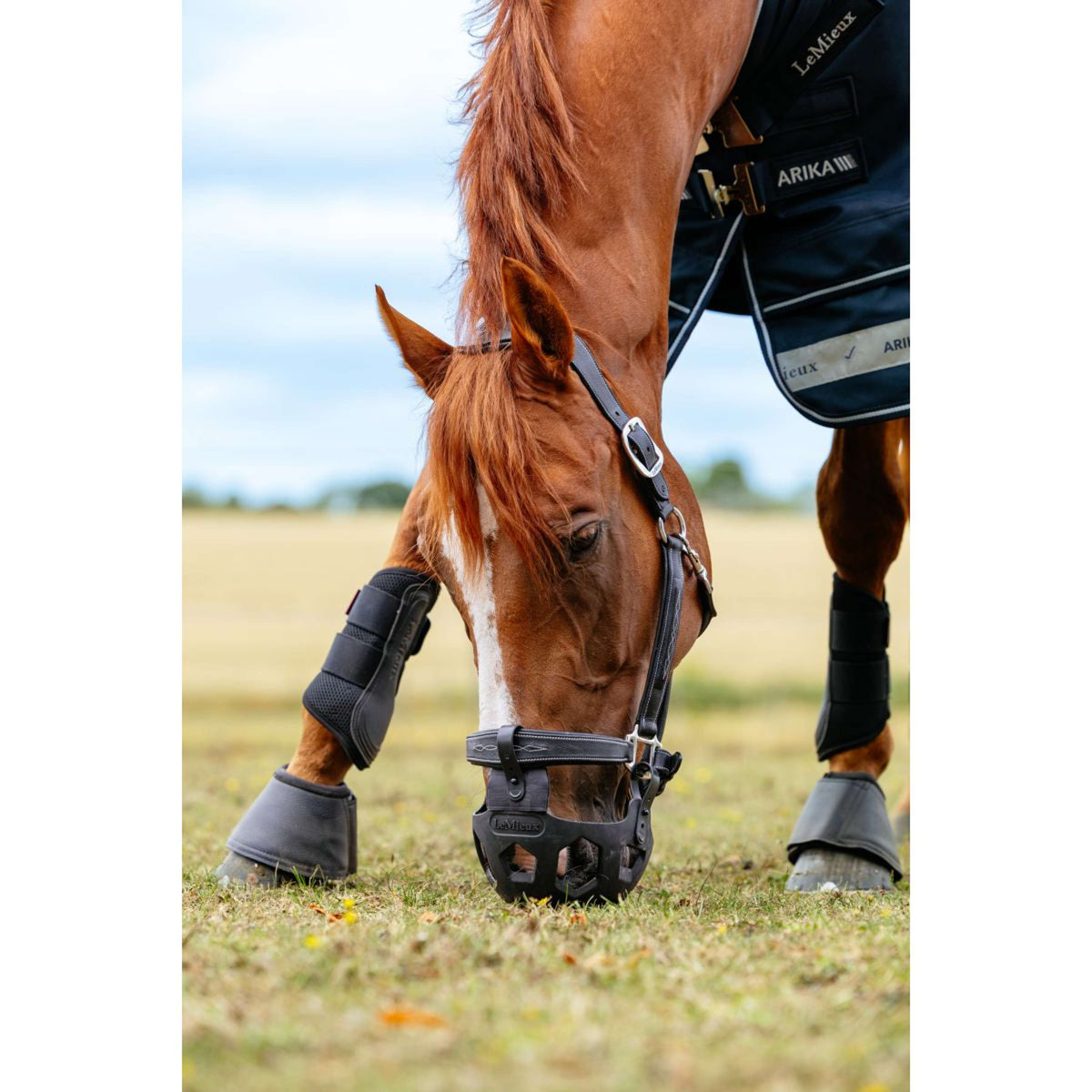 LeMieux Mascarilla para Pastar Noma Negro