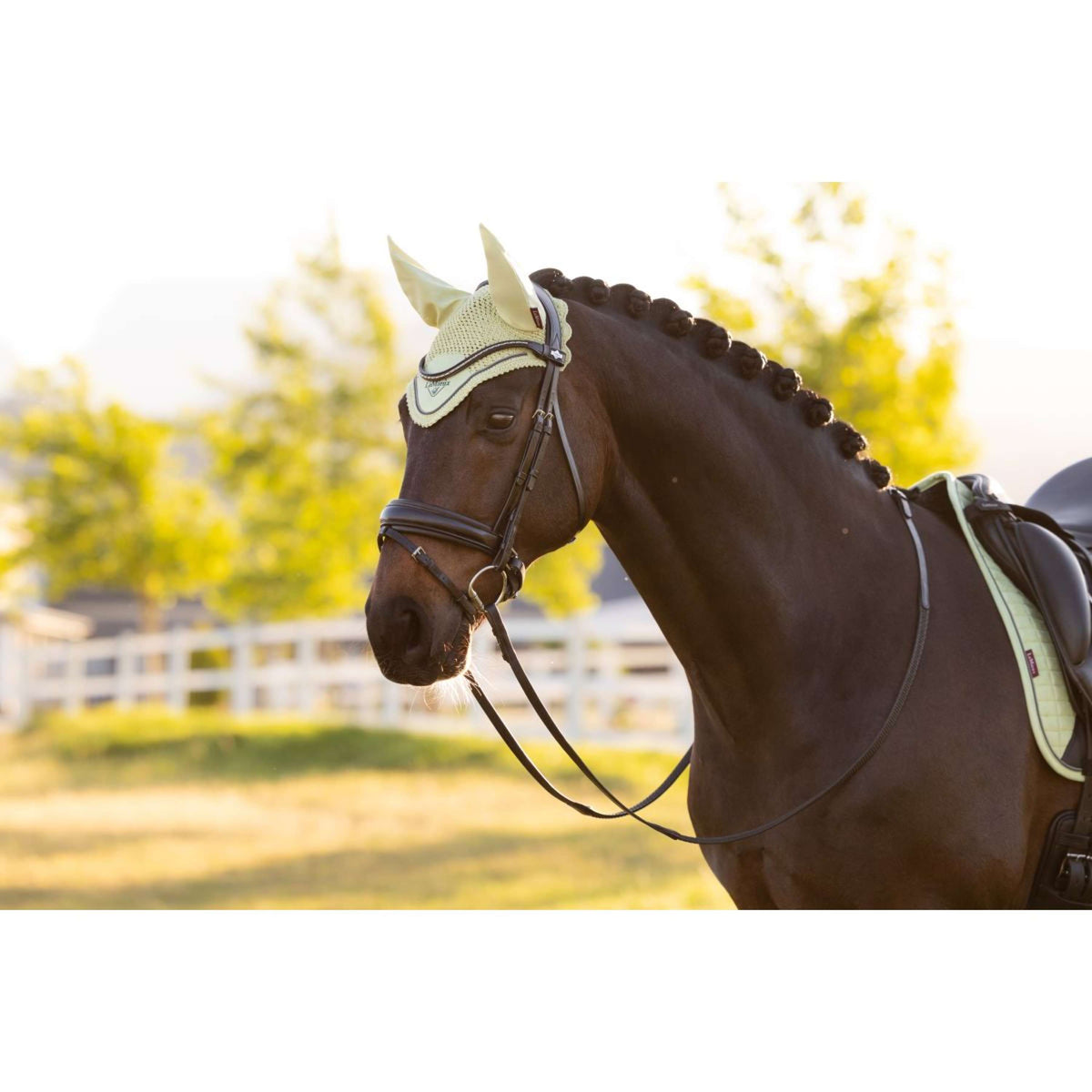 LeMieux Bonete para Orejas Classic Macaron