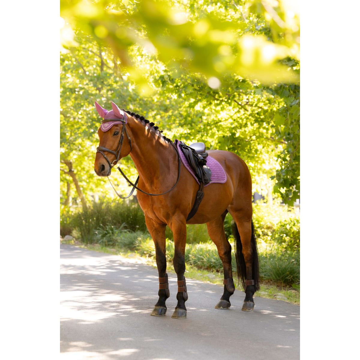 LeMieux Mantilla Suede Close Contact Square saltando Mallow