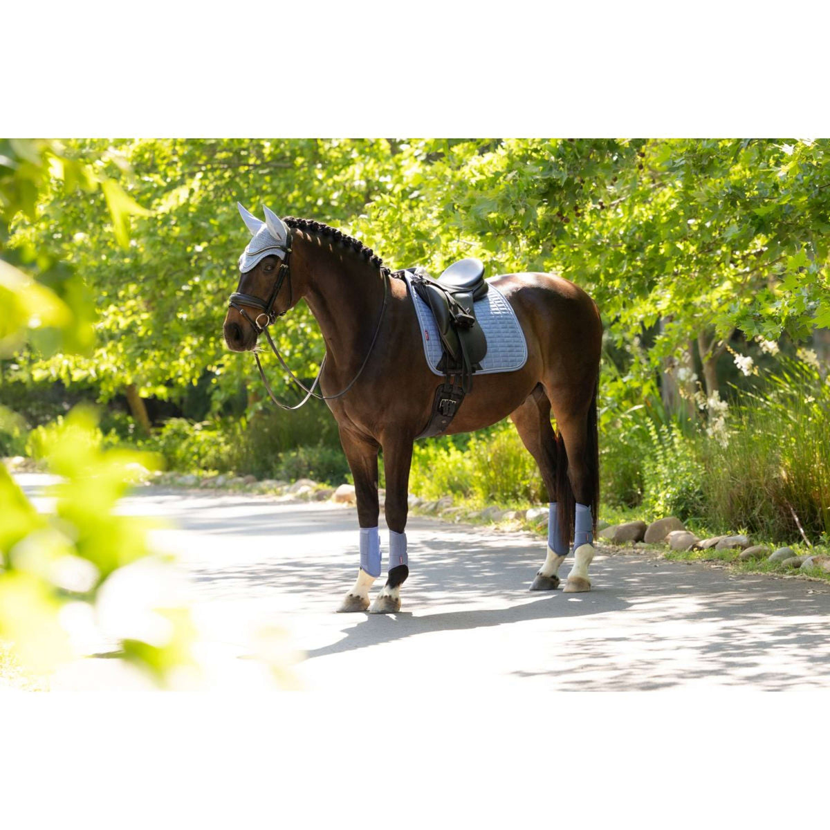 LeMieux Mantilla Suede Square Doma clásica Powder Blue