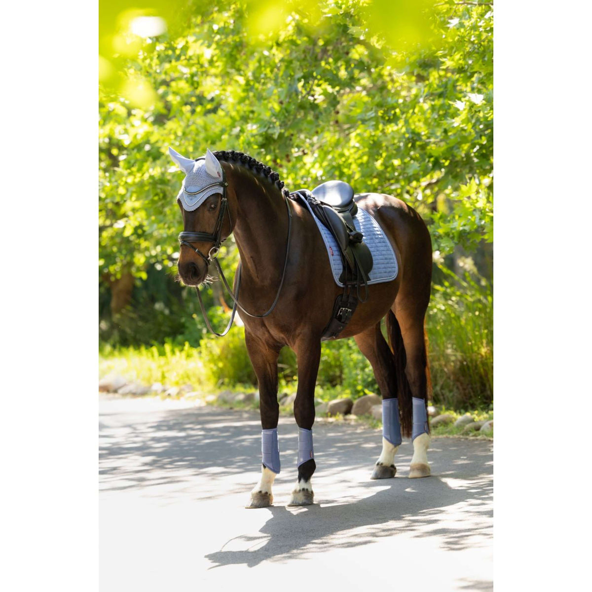 LeMieux Mantilla Suede Square Doma clásica Powder Blue