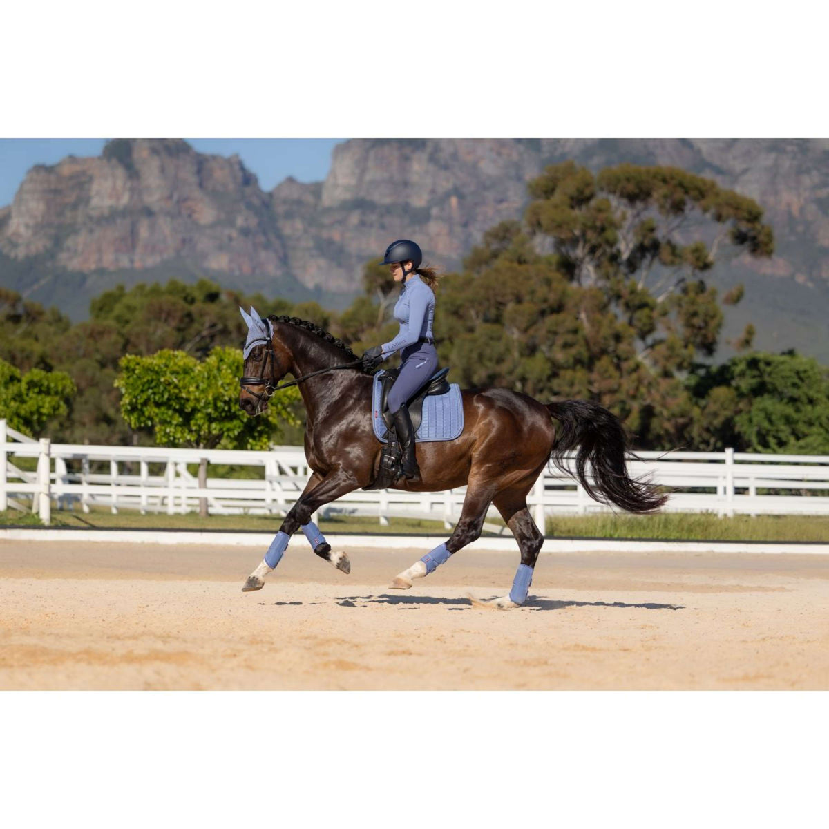 LeMieux Mantilla Suede Square Doma clásica Powder Blue