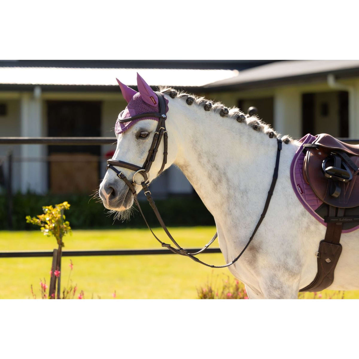 LeMieux Bonete para Orejas Mini Classic Mallow