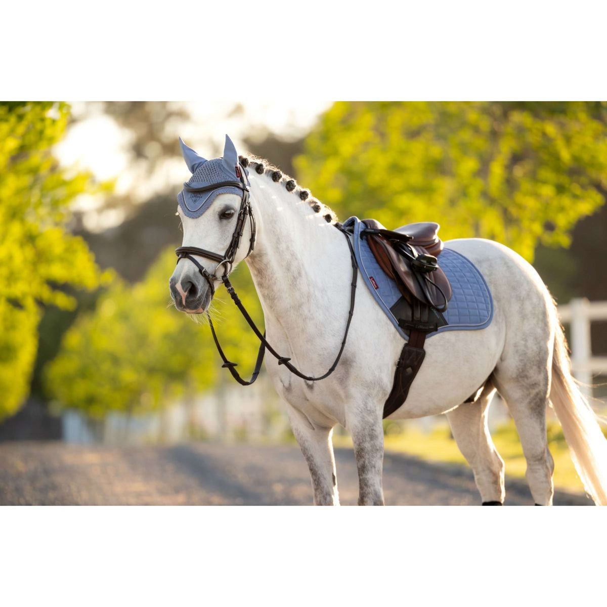 LeMieux Bonete para Orejas Mini Classic Powder Blue