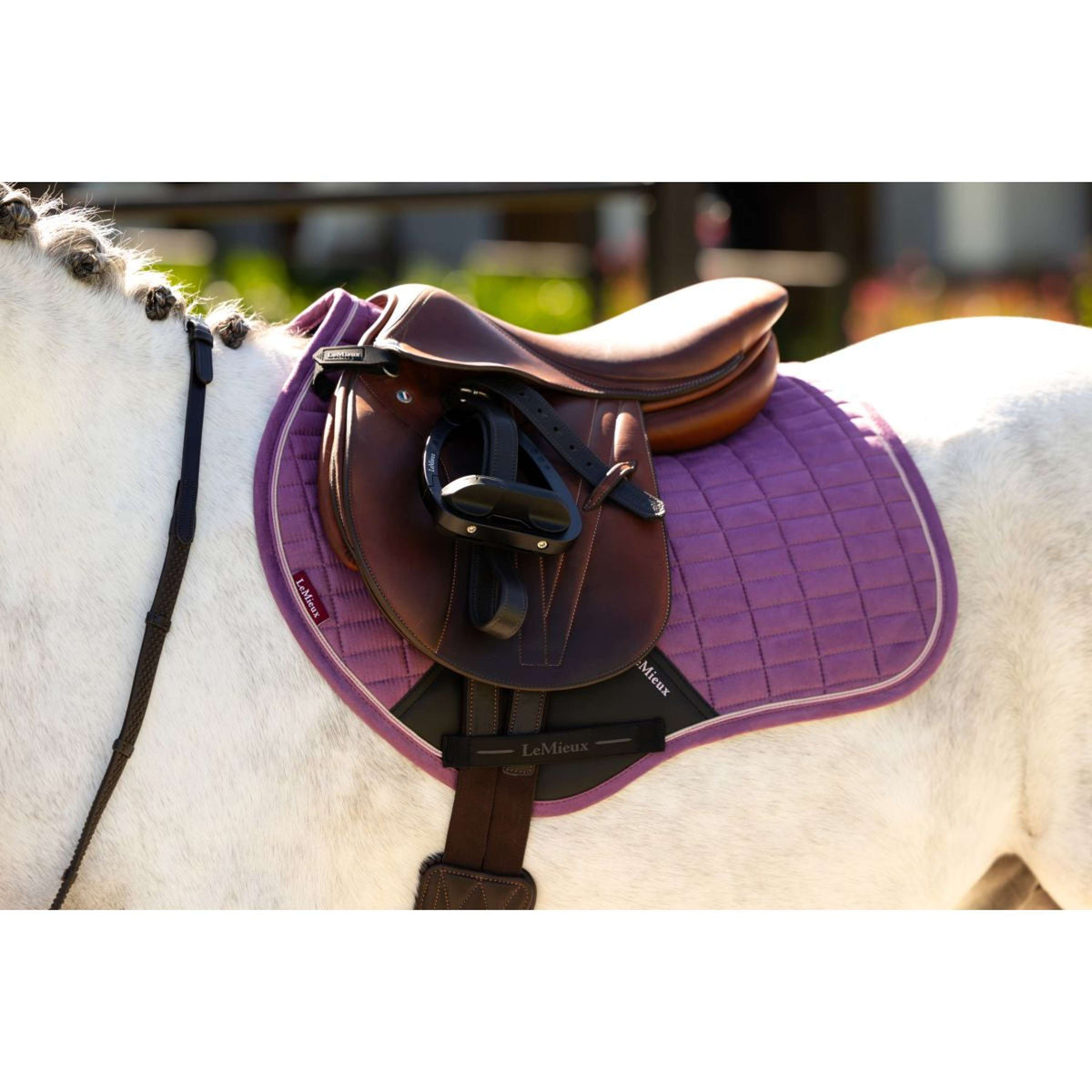 LeMieux Mantilla Mini Suede Close Contact Square saltando Mallow
