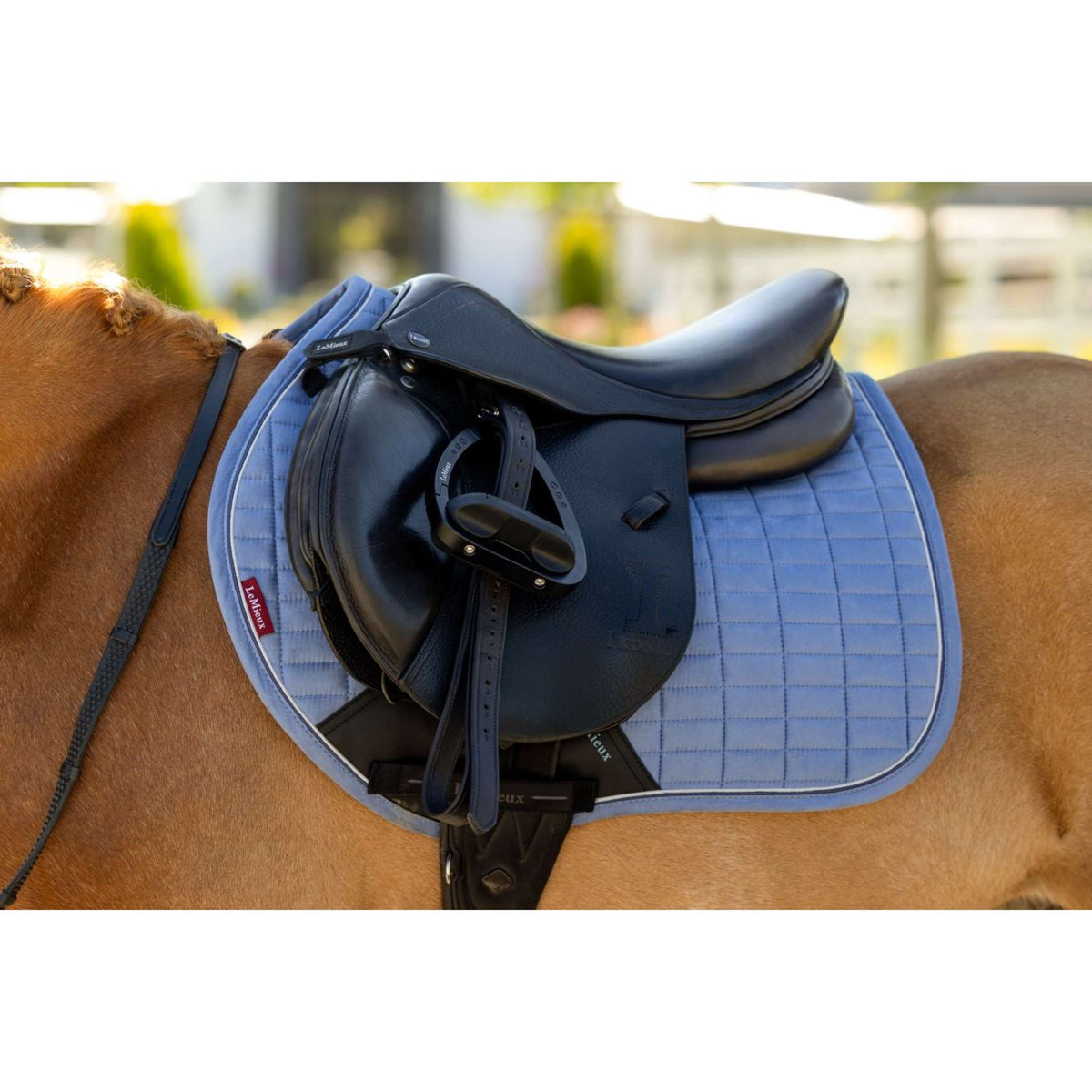 LeMieux Mantilla Mini Suede Close Contact Square saltando Powder Blue