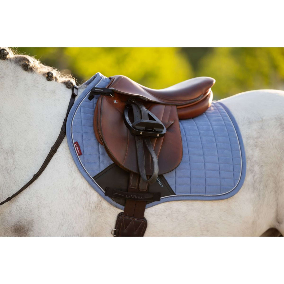 LeMieux Mantilla Mini Suede Close Contact Square saltando Powder Blue