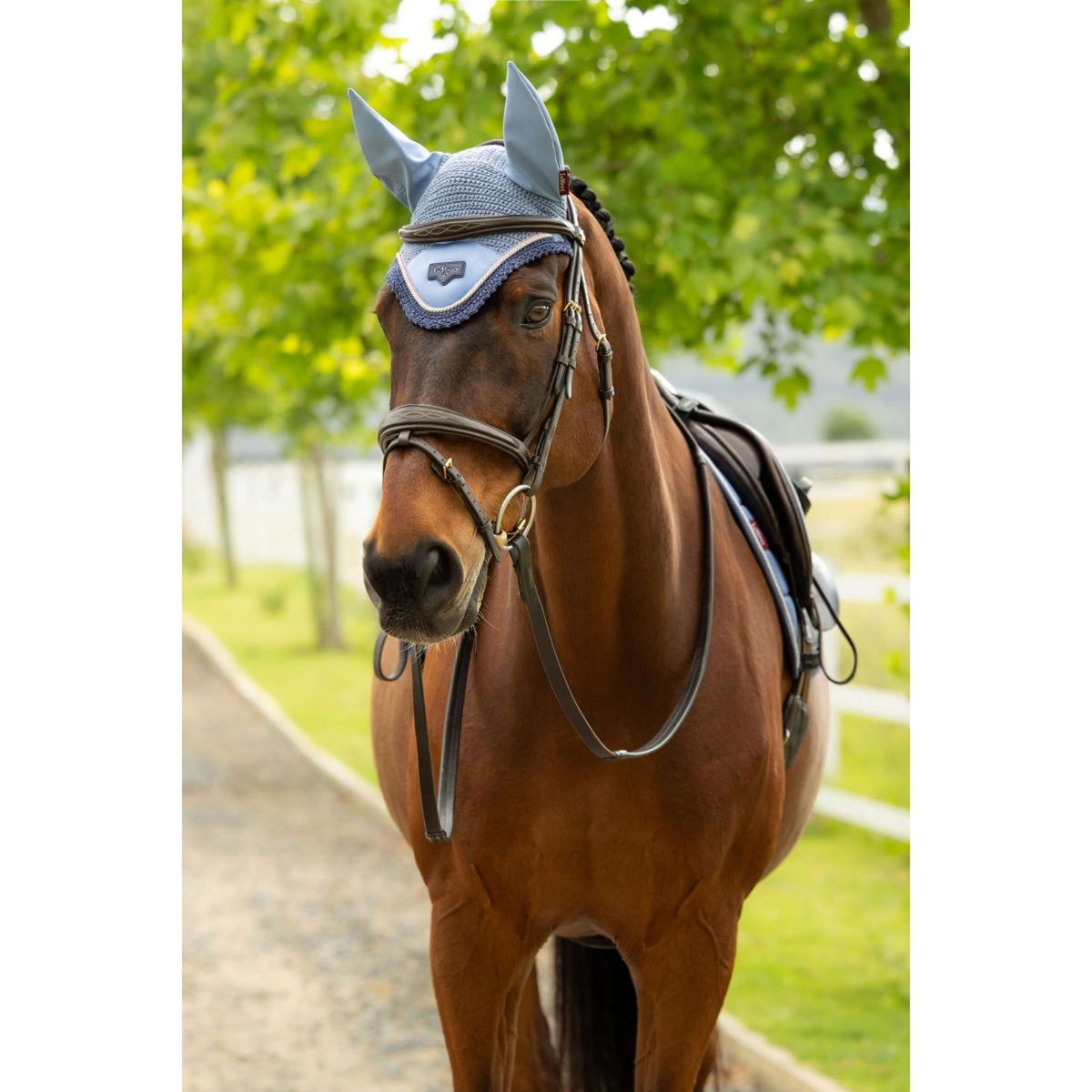 LeMieux Bonete para Orejas Loire Powder Blue