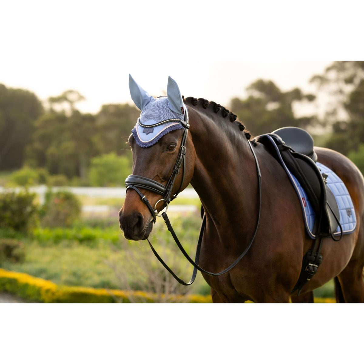 LeMieux Bonete para Orejas Loire Powder Blue