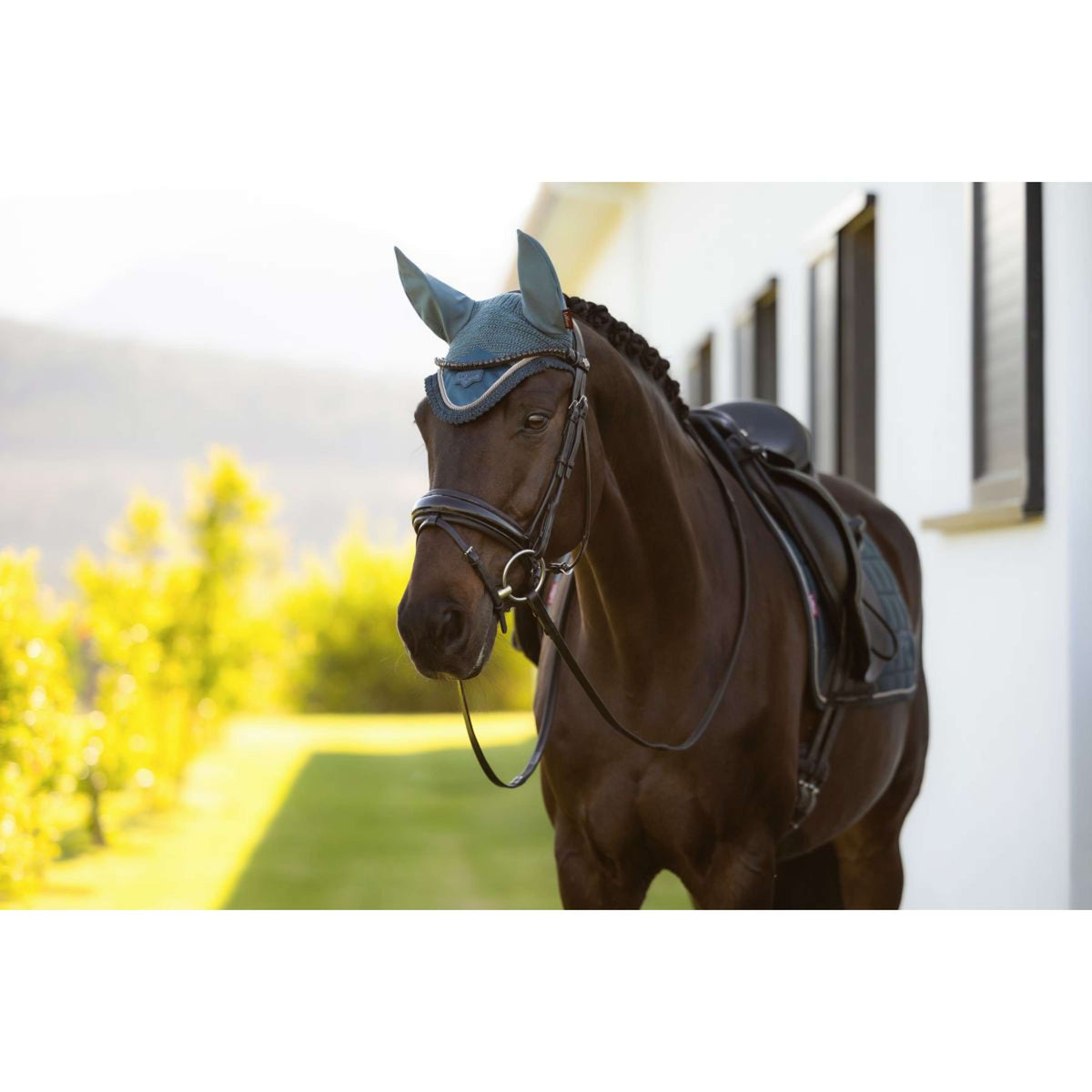 LeMieux Bonete para Orejas Loire Jungle