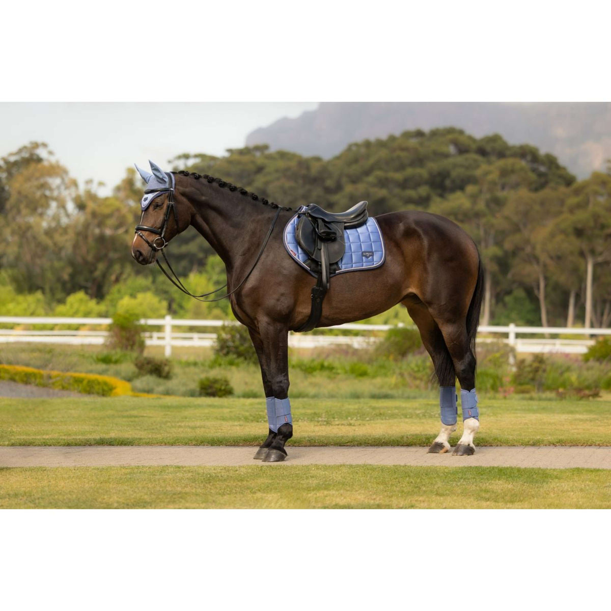 LeMieux Mantilla Loire Classic Close Contact Square saltando Powder Blue