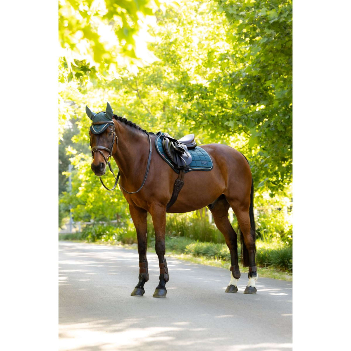 LeMieux Mantilla Loire Classic Close Contact Square saltando Jungle