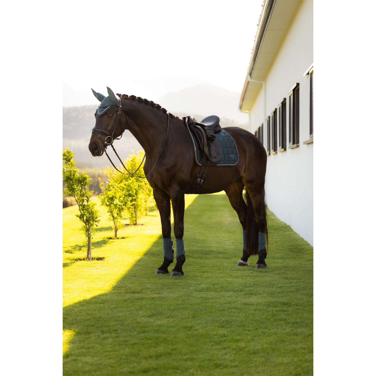 LeMieux Mantilla Loire Classic Square Doma clásica Jungle