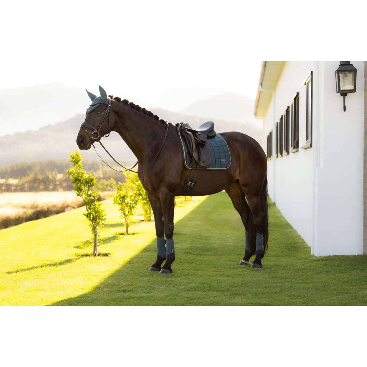 LeMieux Mantilla Loire Classic Square Doma clásica Jungle