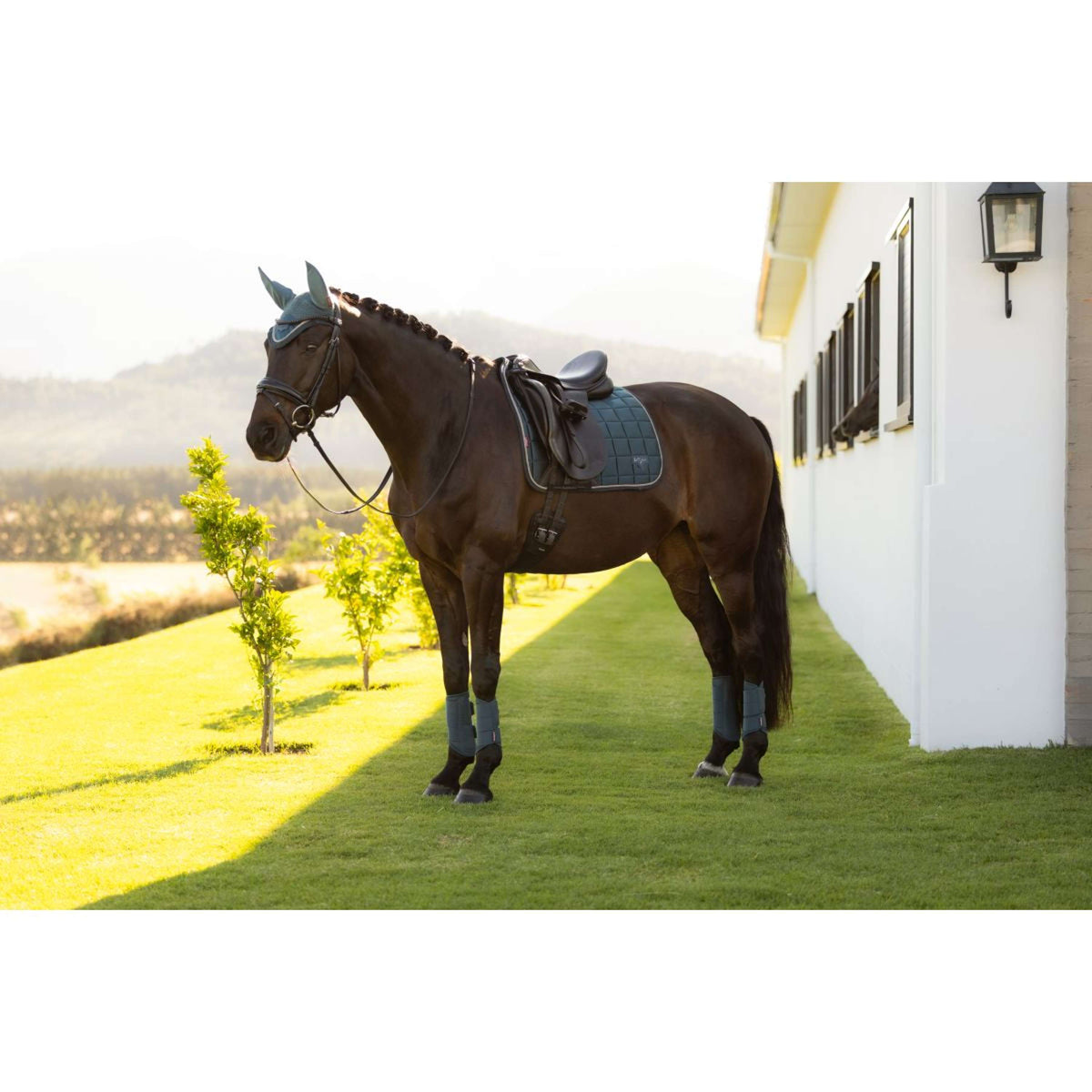 LeMieux Mantilla Loire Classic Square Doma clásica Jungle