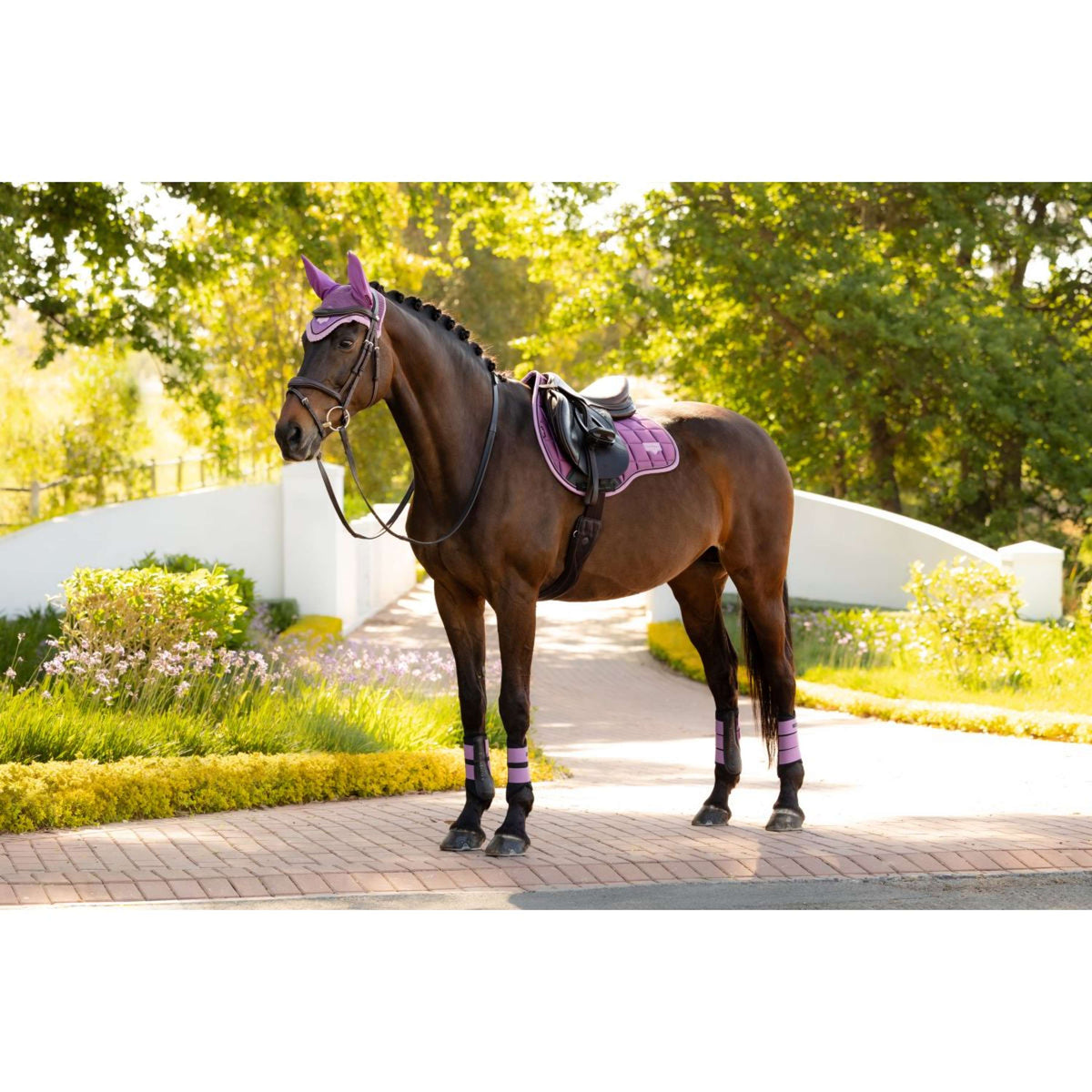 LeMieux Mantilla Loire Classic Square Propósito general Mallow