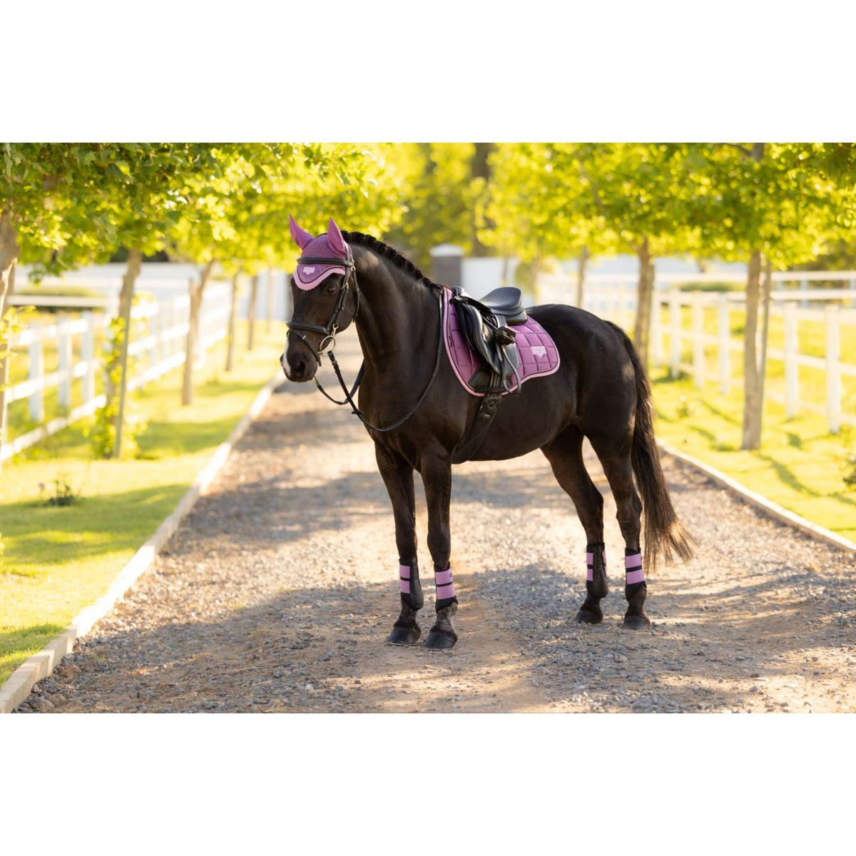 LeMieux Mantilla Loire Classic Square Propósito general Mallow