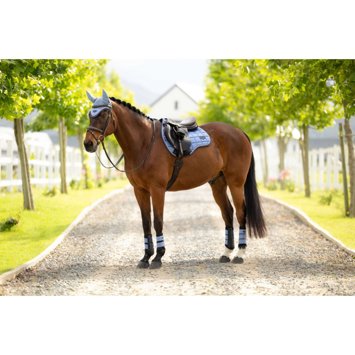 LeMieux Mantilla Loire Classic Square Propósito general Powder Blue