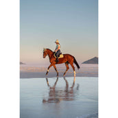 LeMieux Base Layer Classique Mangas Cortas Macaron