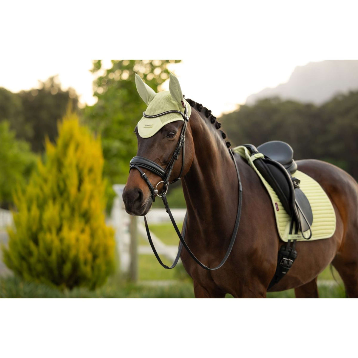 LeMieux Bonete para Orejas Air-Tek Mesh Macaron