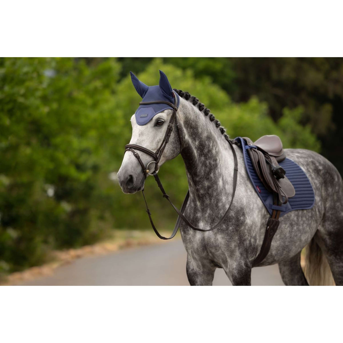 LeMieux Bonete para Orejas Air-Tek Mesh Shadow