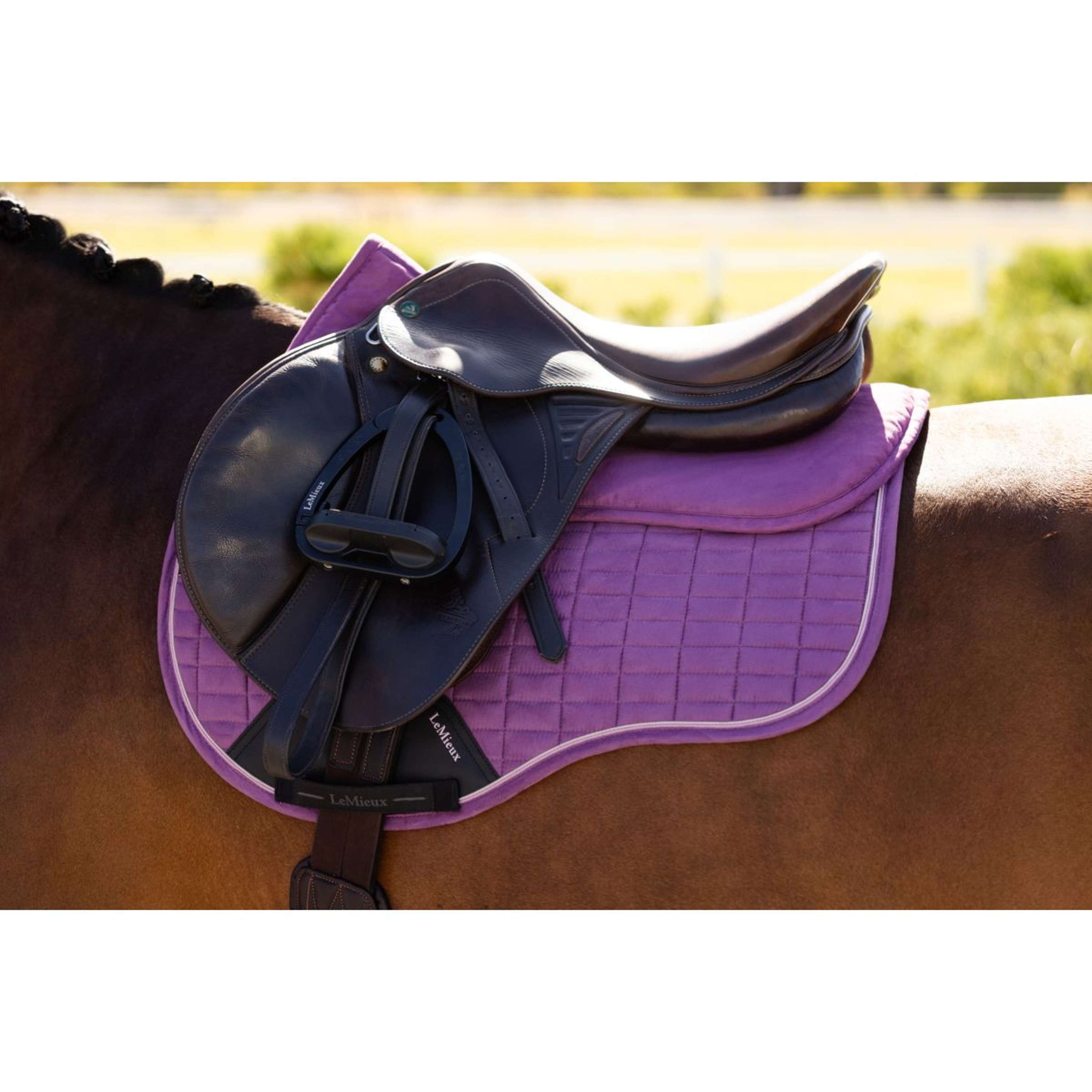 LeMieux Mantilla Suede Mallow LeMieux Mantilla Suede Mallow