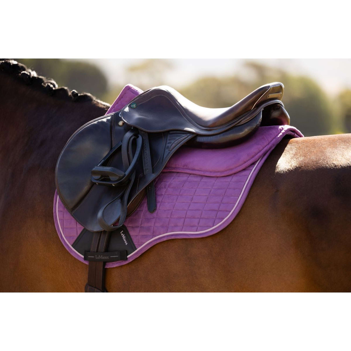 LeMieux Mantilla Suede Mallow