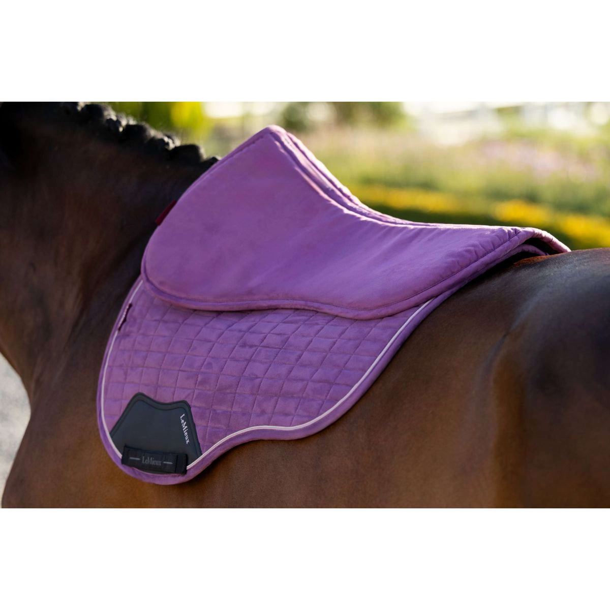 LeMieux Mantilla Suede Mallow