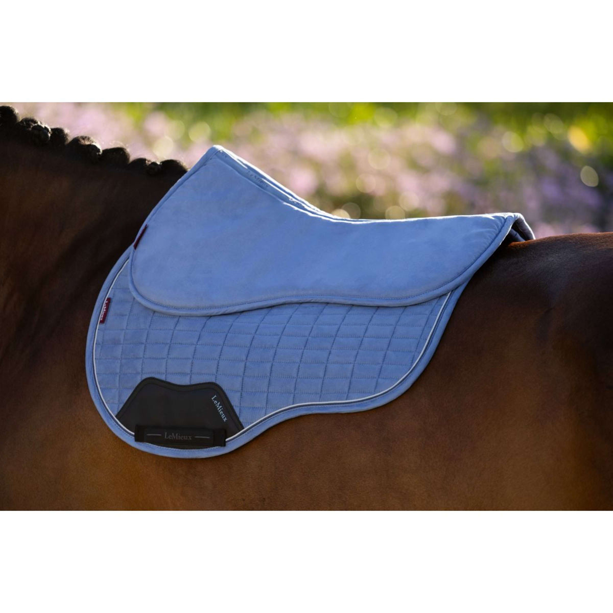 LeMieux Mantilla Suede Powder Blue