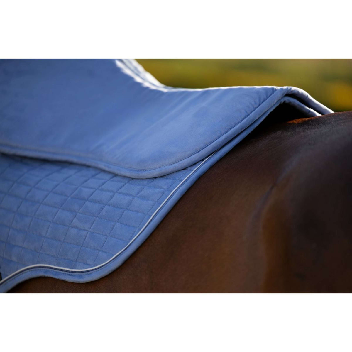 LeMieux Mantilla Suede Powder Blue