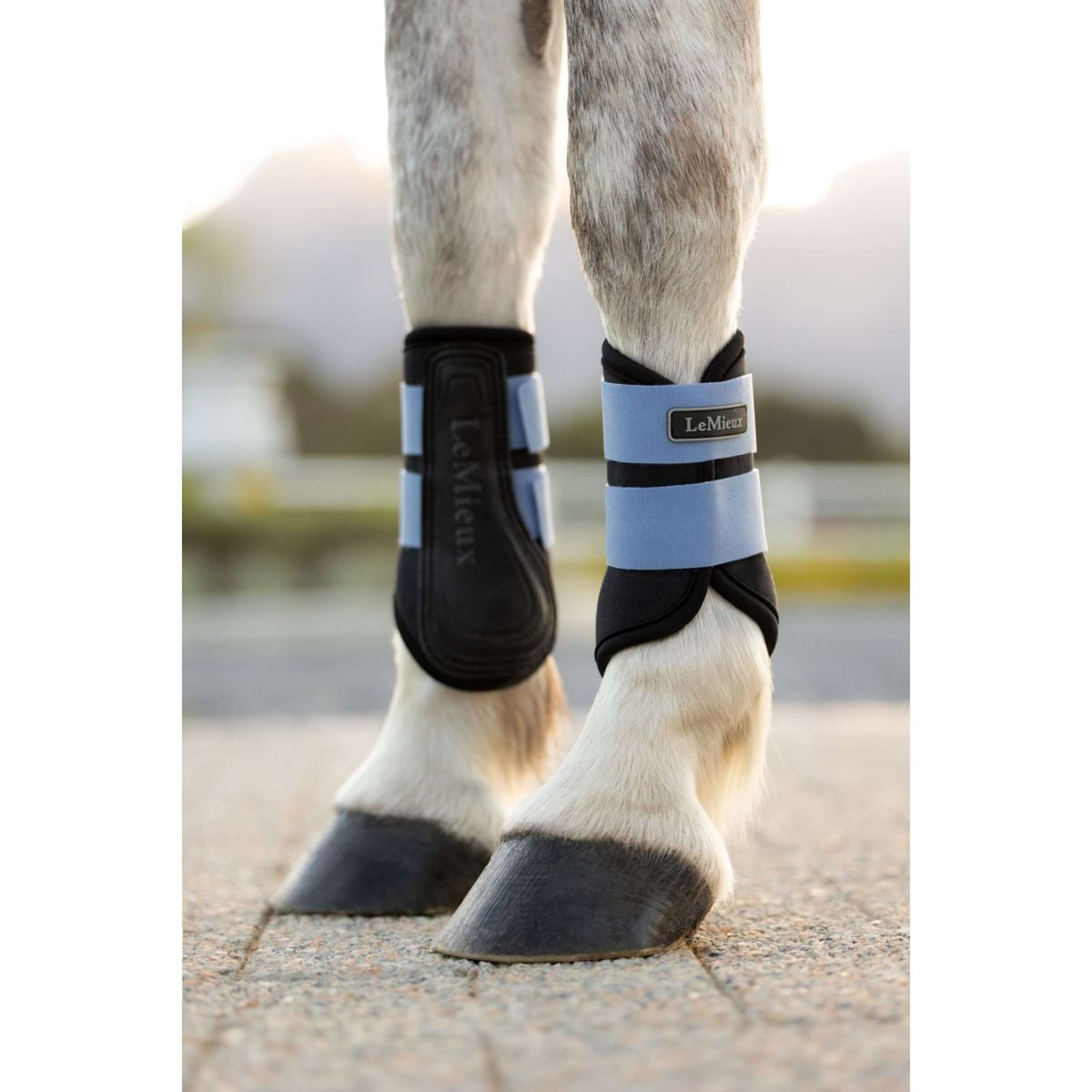 LeMieux Protectores de piernas Mini Air-Tek Powder Blue