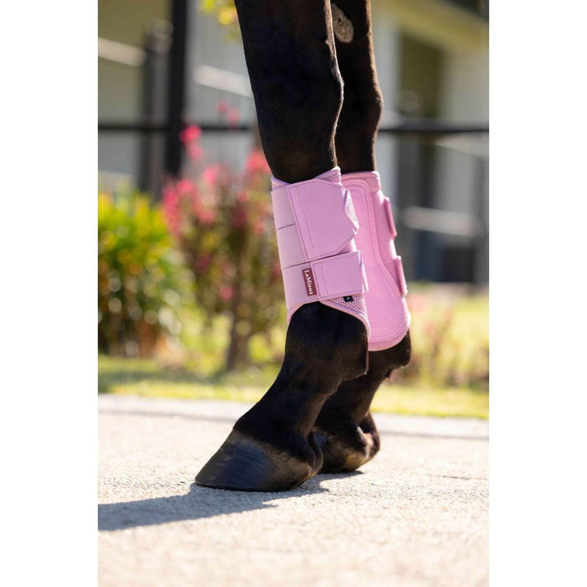 LeMieux Protectores de piernas Arika Mesh Fondant