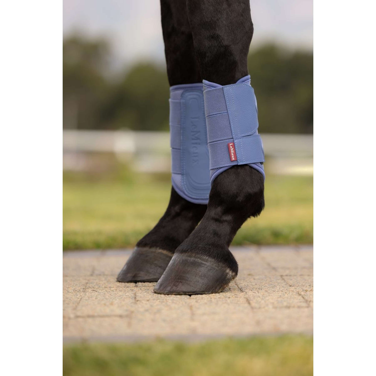 LeMieux Protectores de piernas Arika Mesh Powder Blue