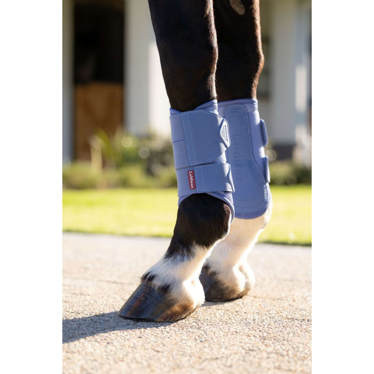 LeMieux Protectores de piernas Arika Mesh Powder Blue