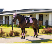 LeMieux Mantilla Essence Square Doma clásica Fondant