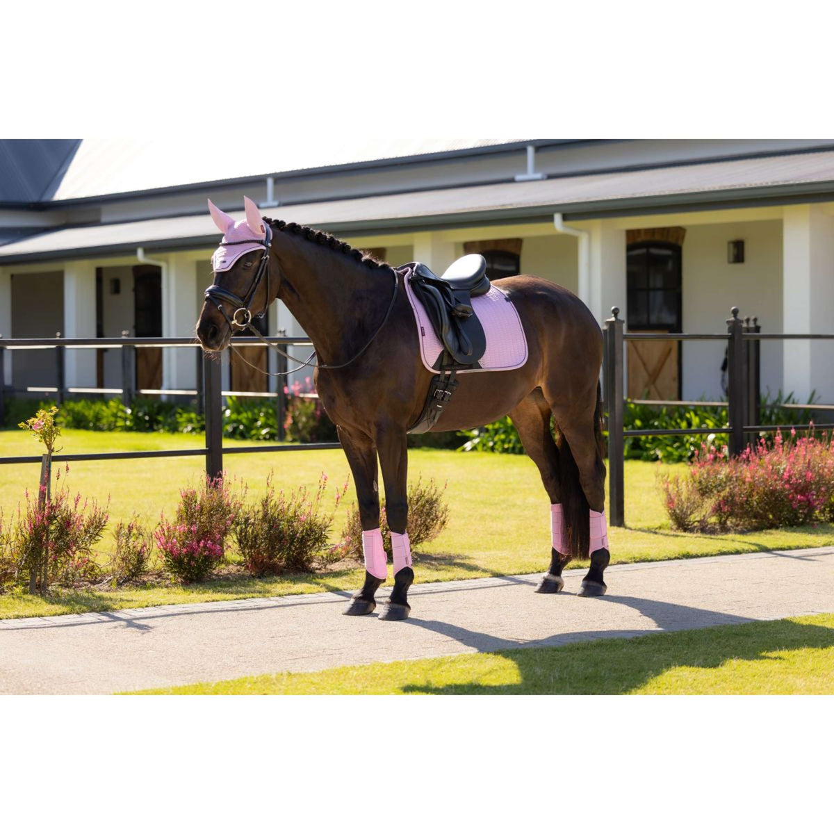 LeMieux Mantilla Essence Square Doma clásica Fondant