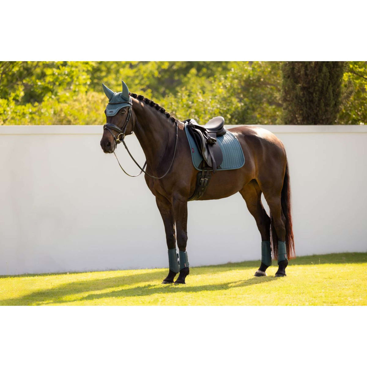 LeMieux Mantilla Essence Square Doma clásica Jungle