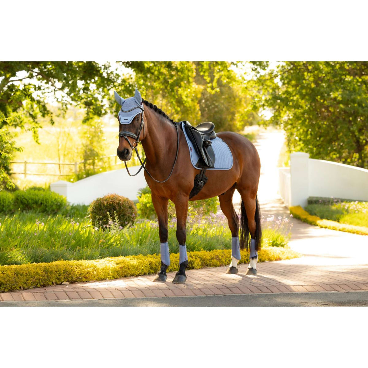 LeMieux Mantilla Essence Square Doma clásica Powder Blue