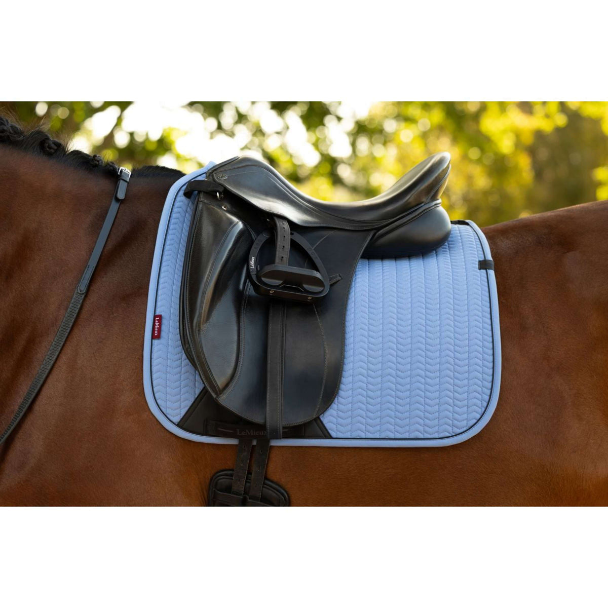 LeMieux Mantilla Essence Square Doma clásica Powder Blue