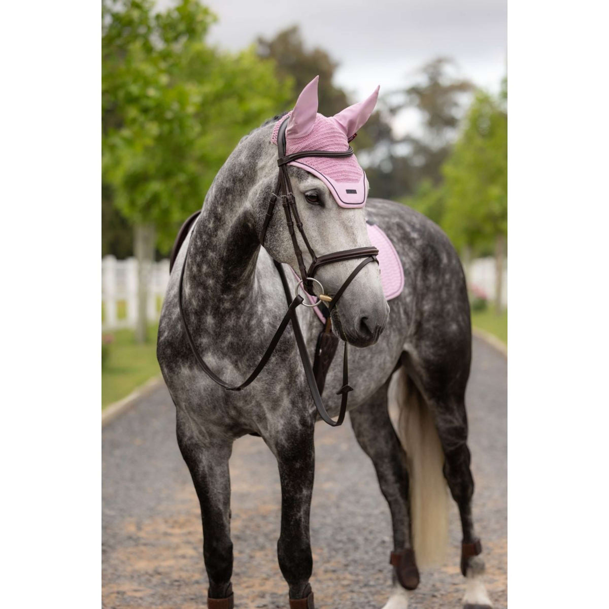 LeMieux Bonete para Orejas Essence Acoustic Fondant