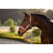 LeMieux Cabezada Versailles Mallow