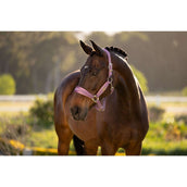 LeMieux Cabezada Versailles Mallow