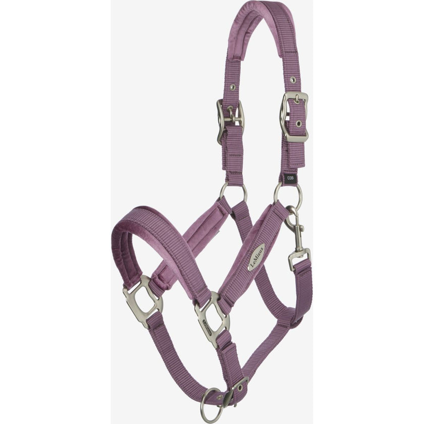 LeMieux Cabezada Versailles Mallow