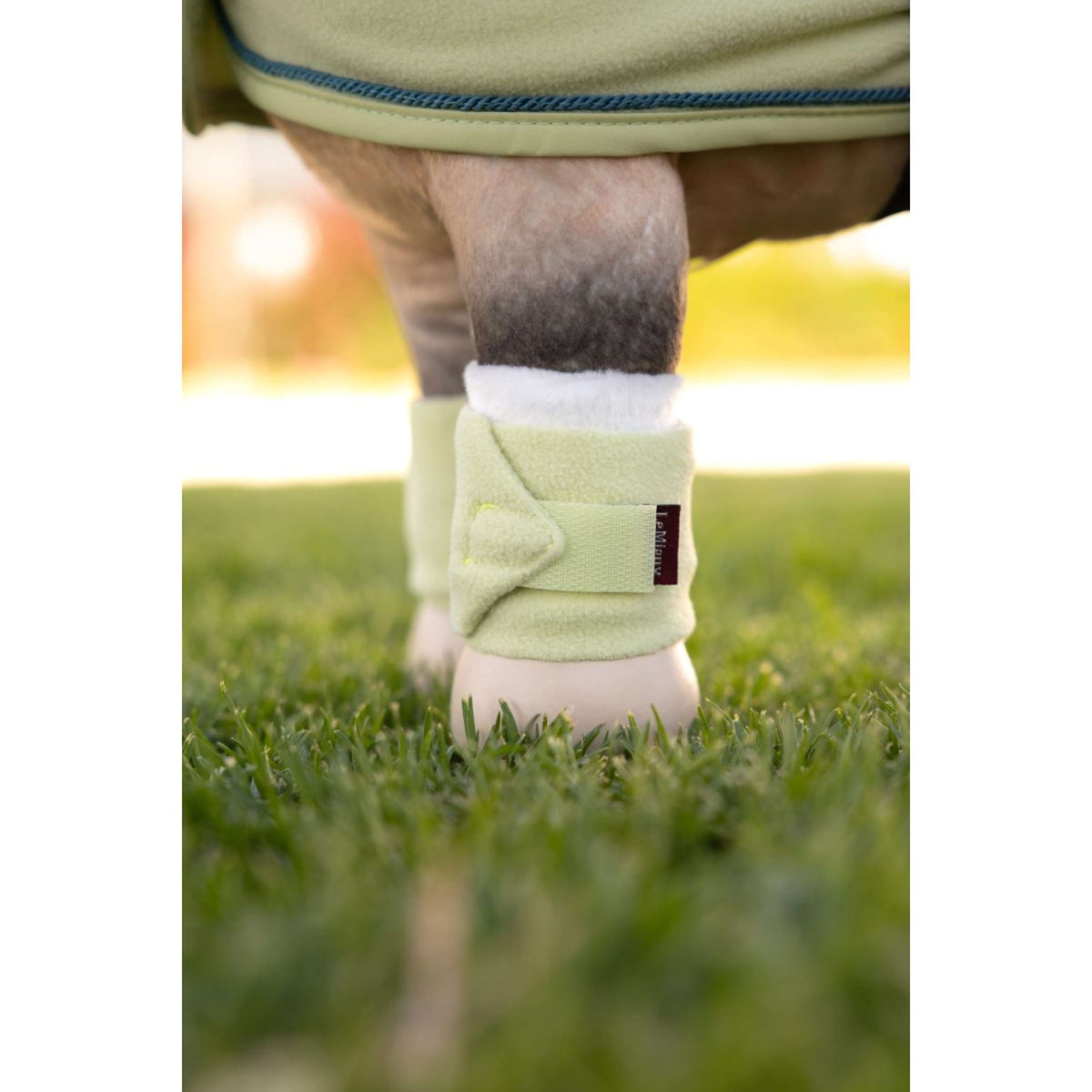 LeMieux Toy Pony Vendajes Macaron