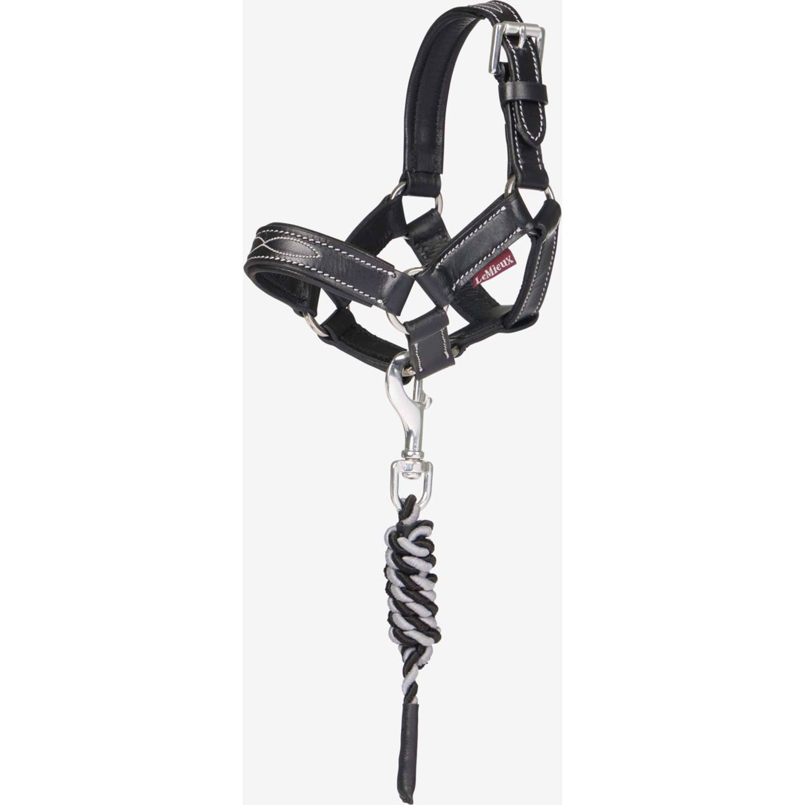 LeMieux Toy Pony Cabezada Negro