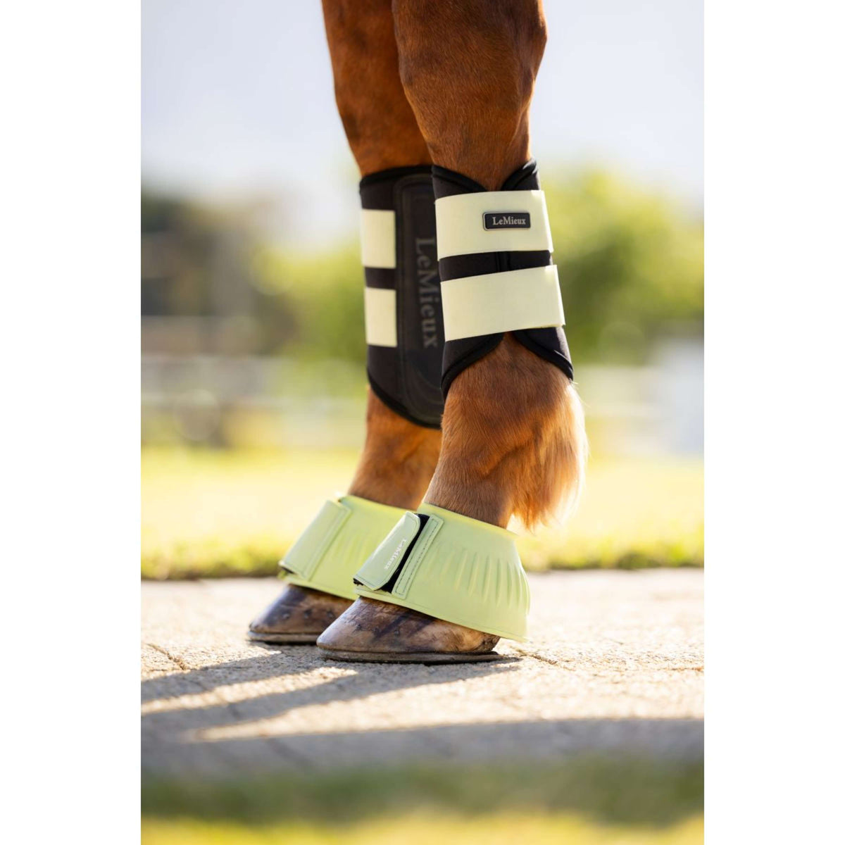 LeMieux Botas para Caballos Rubber Bell Macaron